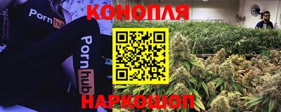 СК Мариинск