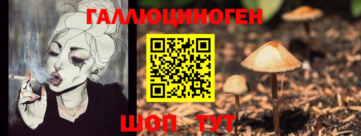 как найти закладки  Галлюциногенные грибы Magic Shrooms  Вход с VPN  Улан-Удэ 